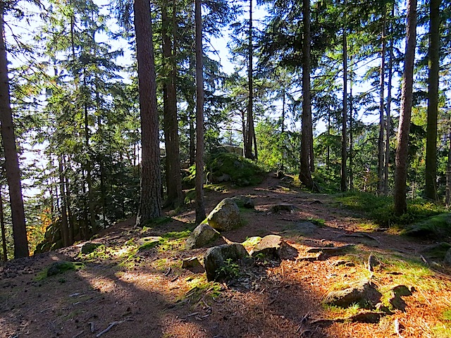 Gipfelkreuz Hirschenstein