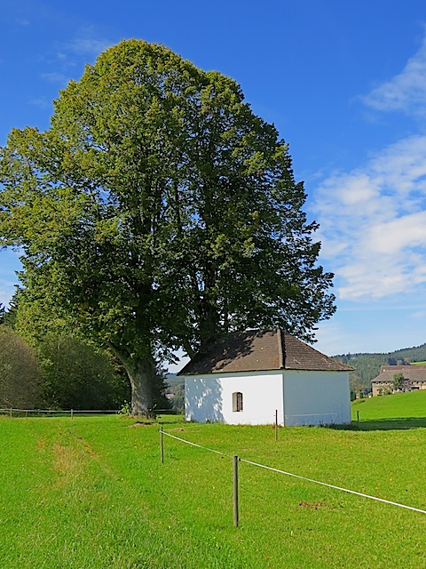 Kapelle Sallegg